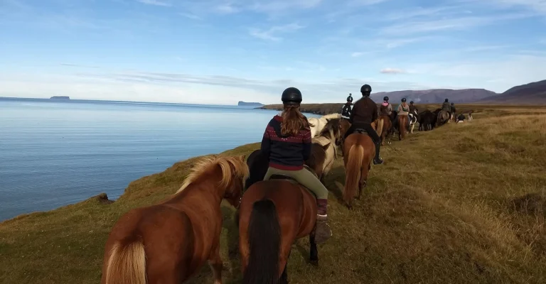 Perlur Skagafjarðar